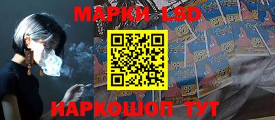 шишки Будённовск