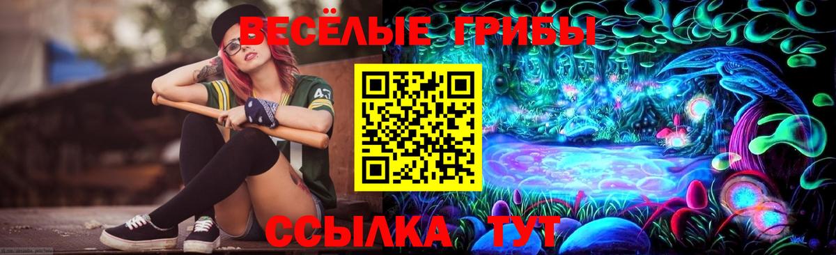 Псилоцибиновые грибы GOLDEN TEACHER  Псилоцибиновые грибы мухоморы  Люберцы  наркота  Вход с VPN 