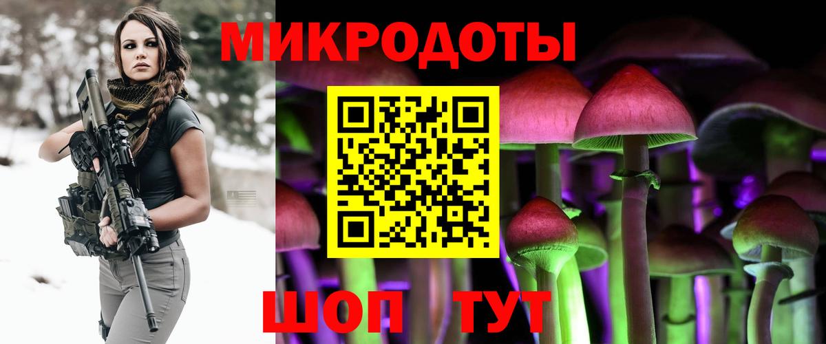 Псилоцибиновые грибы Cubensis Люберцы